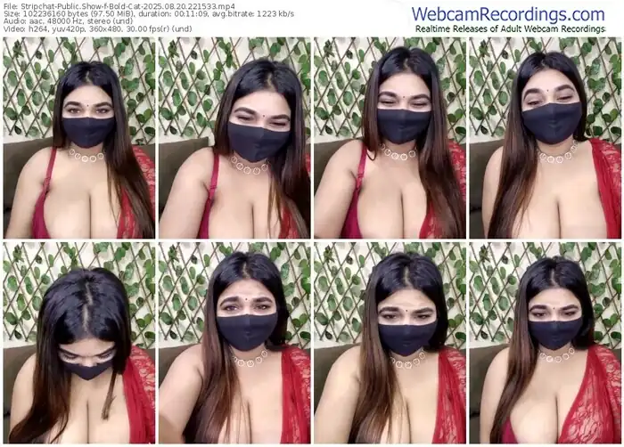 stripchat-bold-cat-08-20-2025-22-15-33