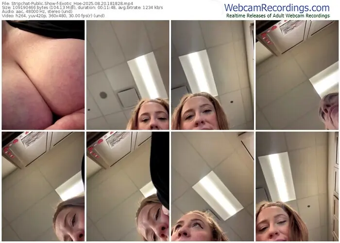 stripchat-exotic_hoe-08-20-2025-18-18-28