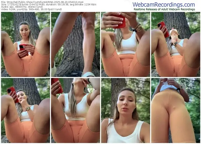 stripchat-letsfunkarina-08-20-2025-05-40-10