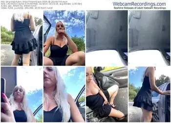 stripchat-merlindave-08-20-2025-04-07-00