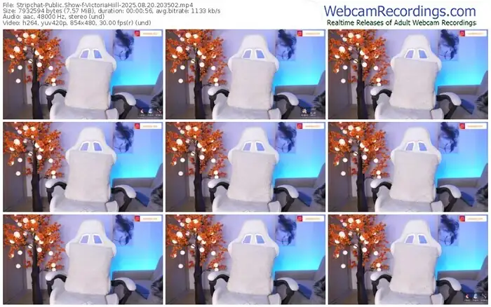 stripchat-victoriahiill-08-20-2025-20-35-02