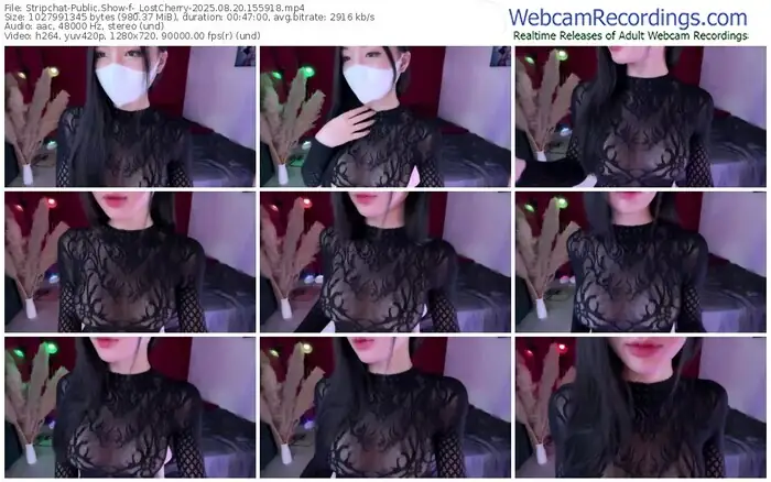 stripchat-_lostcherry-08-20-2025-15-59-18