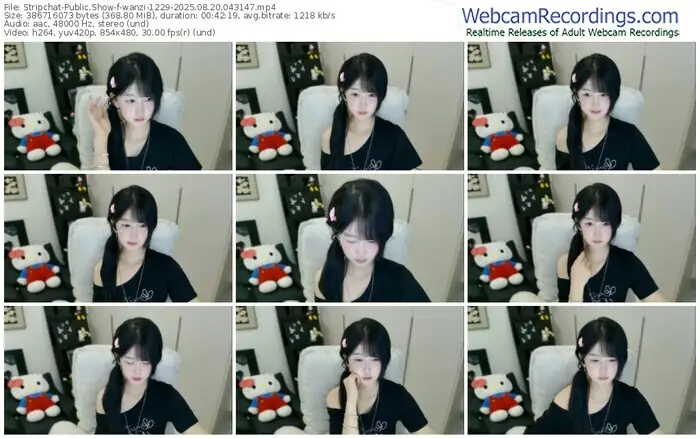 stripchat-wanzi-1229-08-20-2025-04-31-47