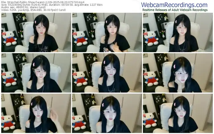 stripchat-wanzi-1229-08-20-2025-07-57-20