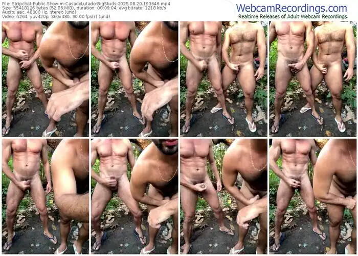 stripchat-casadolutadorbigstuds-08-20-2025-19-36-46