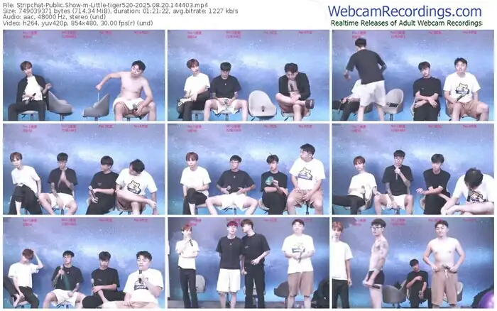 stripchat-little-tiger520-08-20-2025-14-44-03