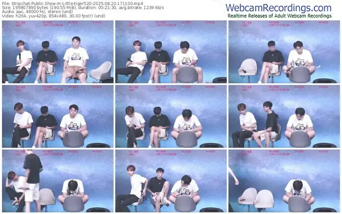 stripchat-little-tiger520-08-20-2025-17-11-00