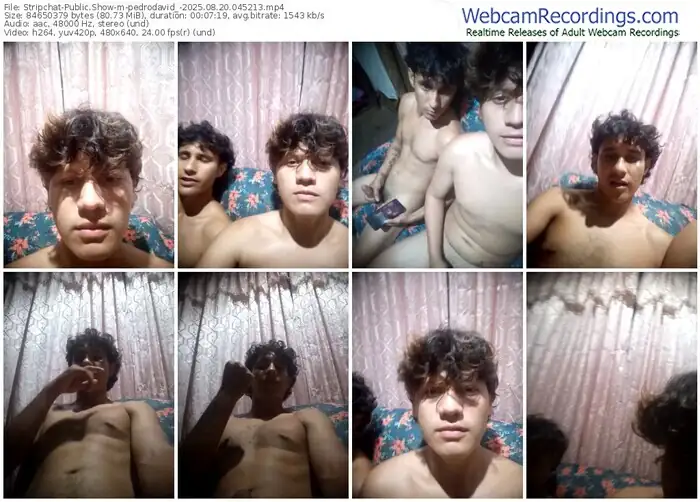 stripchat-pedrodavid_-08-20-2025-04-52-13