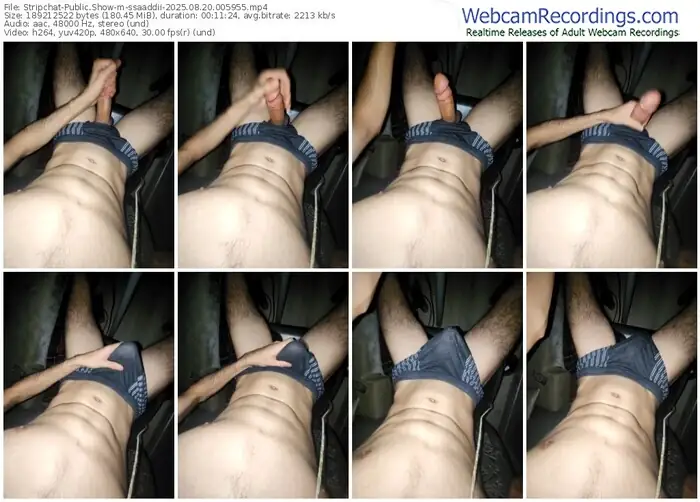 stripchat-ssaaddii-08-20-2025-00-59-55