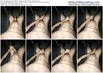 stripchat-ssaaddii-08-20-2025-21-26-53