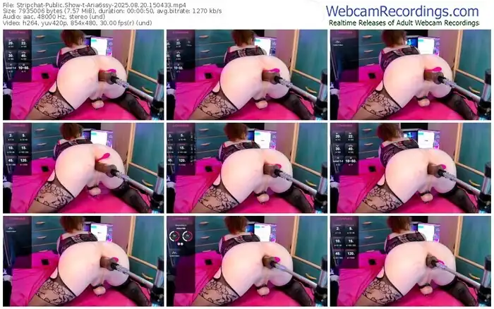 stripchat-aria6ssy-08-20-2025-15-04-33
