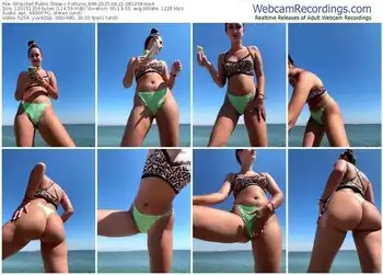 stripchat-fortune_888-08-21-2025-08-12-38