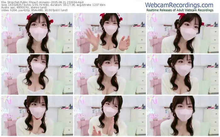 stripchat--minami--08-21-2025-15-39-34