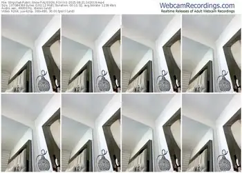 stripchat-alisson_foxxx1-08-21-2025-04-20-19