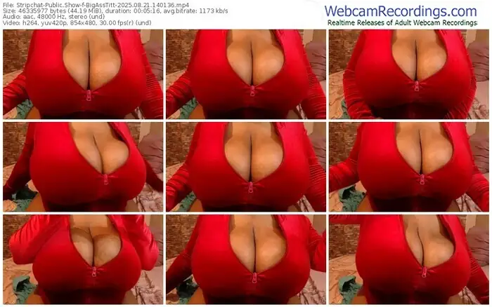 stripchat-bigasstitt-08-21-2025-14-01-36