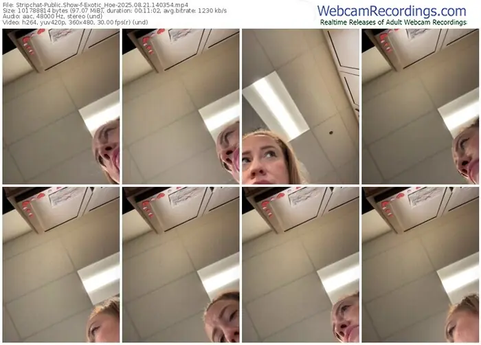 stripchat-exotic_hoe-08-21-2025-14-03-54