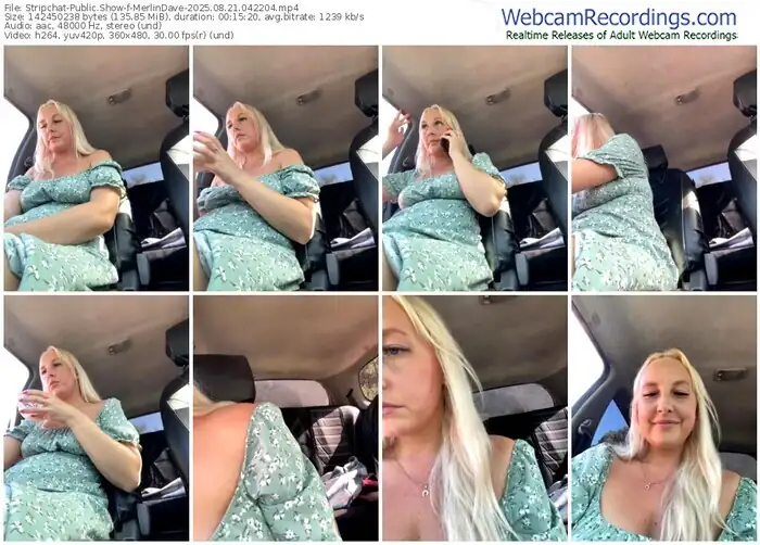 stripchat-merlindave-08-21-2025-04-22-04