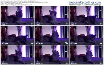 stripchat-minelliss-08-21-2025-19-30-29