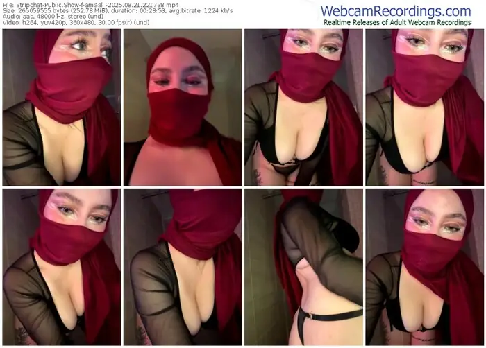 stripchat-amaal_-08-21-2025-22-17-38