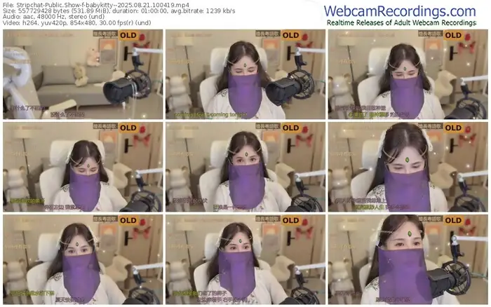 stripchat-babykitty--08-21-2025-10-04-19