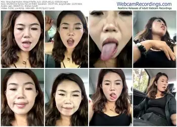 stripchat-feifei_521-08-21-2025-03-41-06