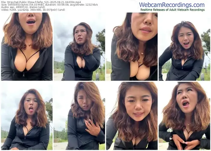 stripchat-feifei_521-08-21-2025-04-43-34