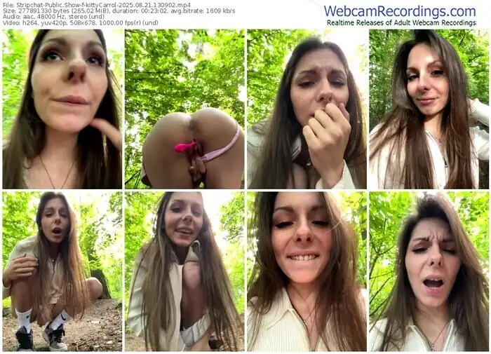 stripchat-kittycarrol-08-21-2025-13-09-02