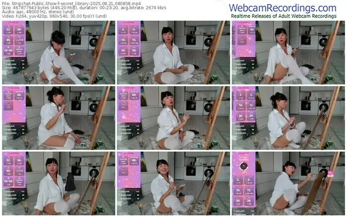 stripchat-secret_library-08-21-2025-08-08-58