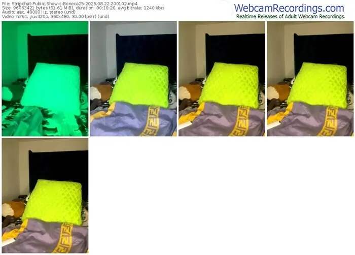 stripchat-boneca25-08-22-2025-20-01-02