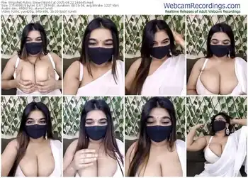 stripchat-bold-cat-08-22-2025-18-44-45