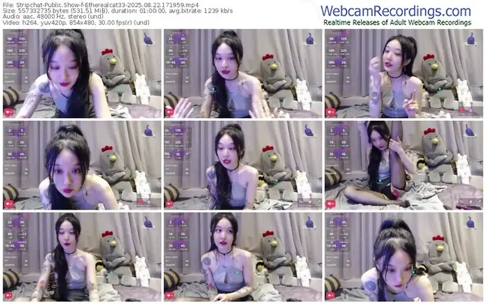 stripchat-etherealcat33-08-22-2025-17-19-59
