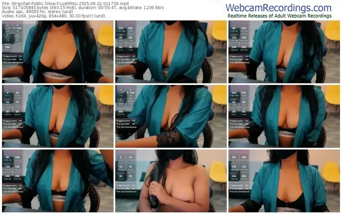 stripchat-lushritu-08-22-2025-01-17-59