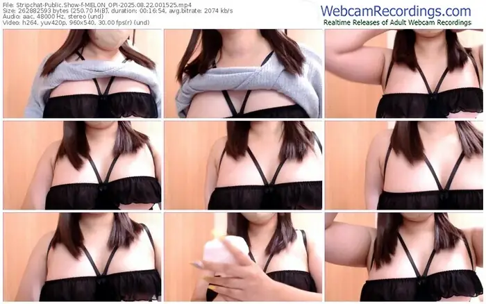 stripchat-melon_opi-08-22-2025-00-15-25