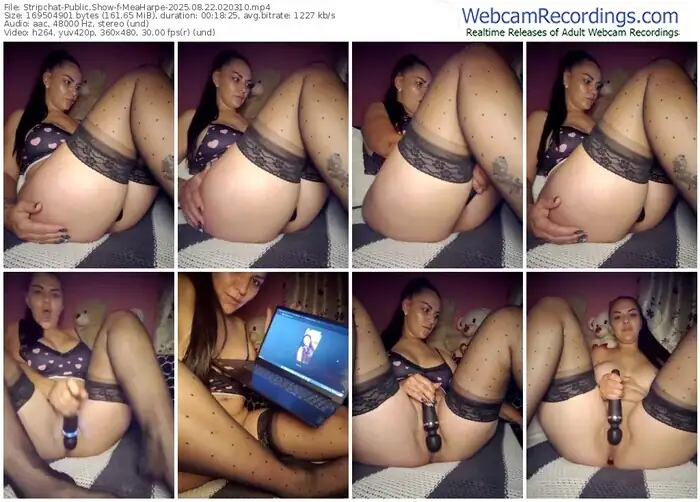 stripchat-meaharpe-08-22-2025-02-03-10