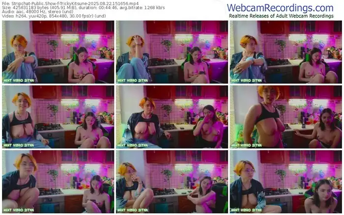 stripchat-trickykitsune-08-22-2025-15-16-56