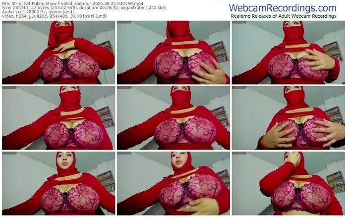 stripchat-nahid_sammur-08-22-2025-04-01-56