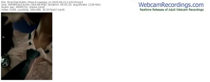 stripchat-xiaoqiao_ss-08-22-2025-12-31-34