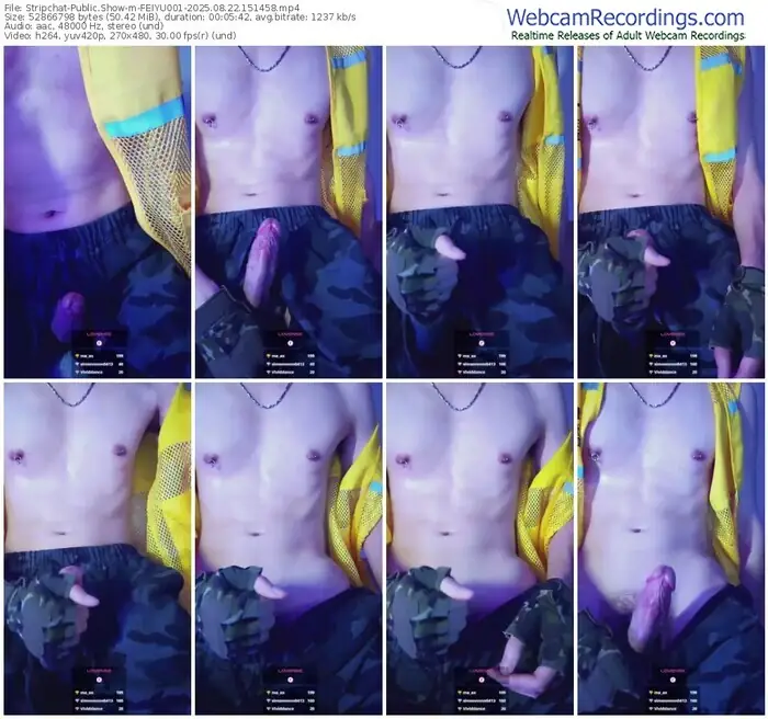 stripchat-feiyu001-08-22-2025-15-14-58
