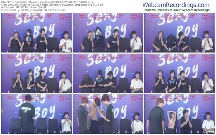 stripchat-sexyboys666888-08-22-2025-15-40-05