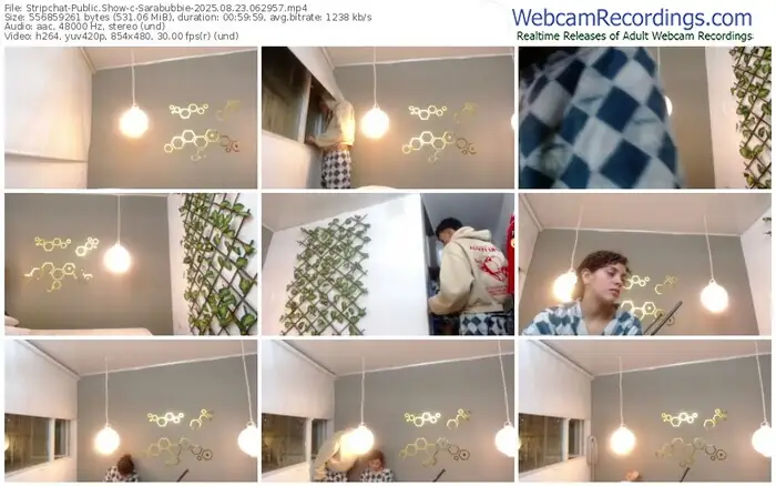 stripchat-sarabubbie-08-23-2025-06-29-57