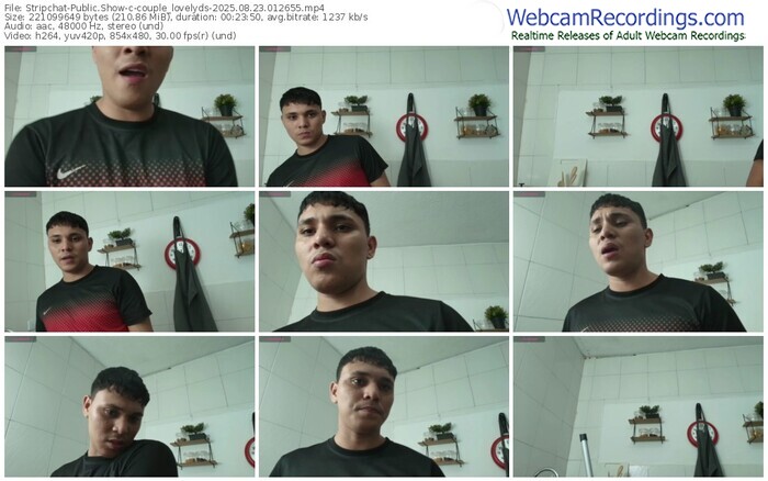 stripchat-couple_lovelyds-08-23-2025-01-26-55