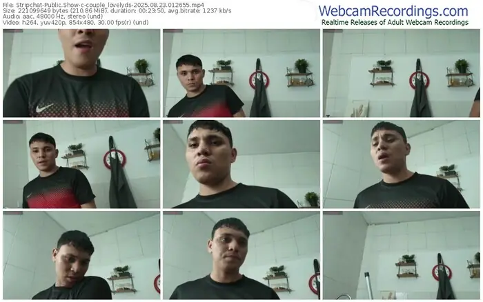 stripchat-couple_lovelyds-08-23-2025-01-26-55