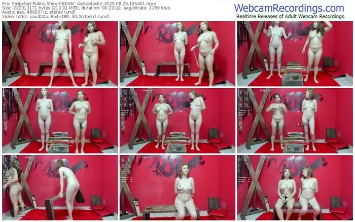 stripchat-bdsm_vantablack2-08-23-2025-16-54-01