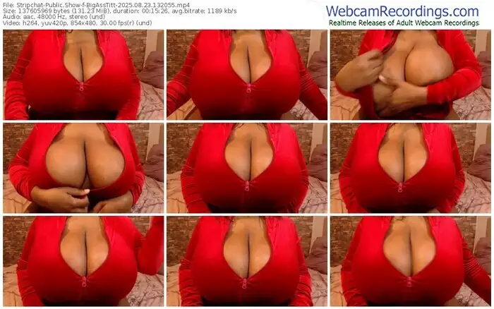 stripchat-bigasstitt-08-23-2025-13-20-55