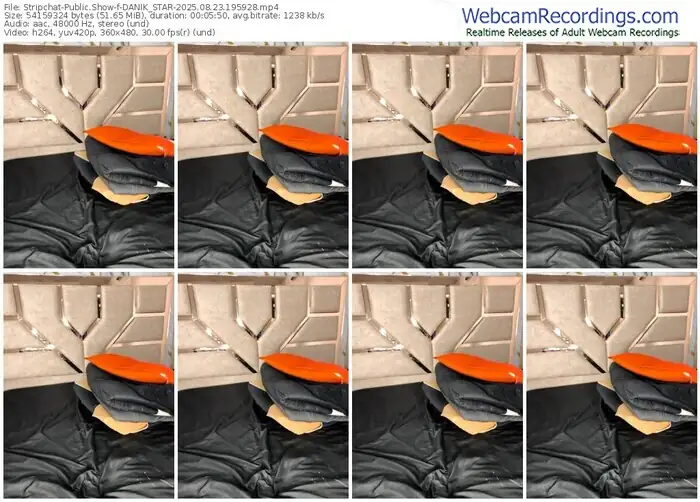 stripchat-danik_star-08-23-2025-19-59-28