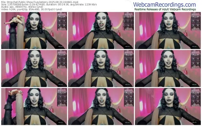 stripchat-leylanoiry-08-23-2025-19-48-41