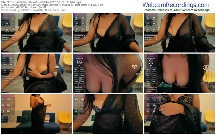 stripchat-lushritu-08-23-2025-19-10-24