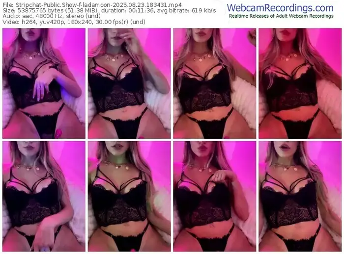 stripchat-ladamoon-08-23-2025-18-34-31