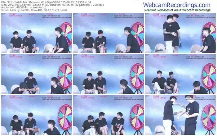 stripchat-little-tiger520-08-23-2025-11-29-34