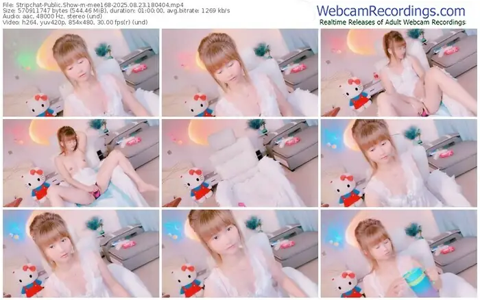 stripchat-mee168-08-23-2025-18-04-04